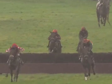 Ivan du Berry after jumping the 2nd last at Toulouse
