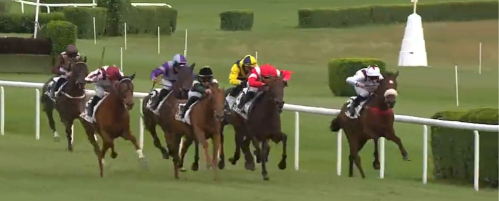 Runners in the Prix de Sceaux D’Anjou at Lion D'Angers, June 2026