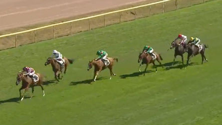 Runners in the Prix Madame Jean Couturie