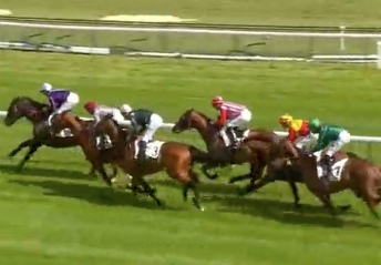 Prixdelahorse Tracker - Feed the Flame