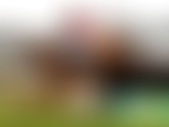 French Recruits - Mombasa