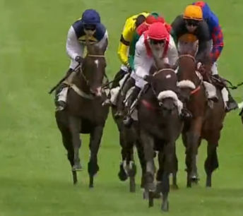 Runners in the Prix des Platanes at Auteuil, 8th September 2026