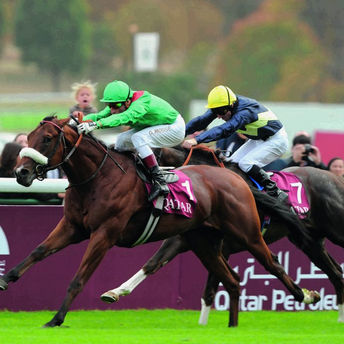 Siyouni Progeny 2022