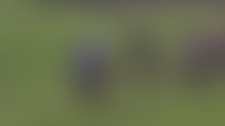 Callisto du Nord at Pau, 8th February 2026