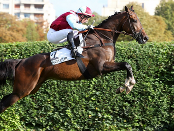Grande Course De Haies d’Auteuil 
