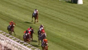 Runners in the Prix Pride of Kildare at Auteuil