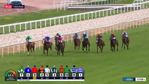 Runners in the closing stages of the Prix Caravelle at Toulouse, 19th April