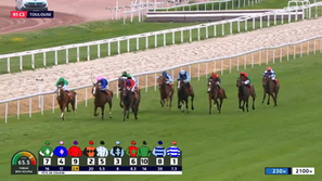 Runners in the closing stages of the Prix Caravelle at Toulouse, 19th April