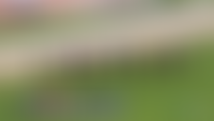 Runners in the closing stages of the Prix Caravelle at Toulouse, 19th April