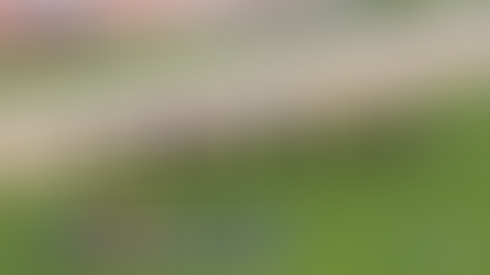 Runners in the closing stages of the Prix Caravelle at Toulouse, 19th April