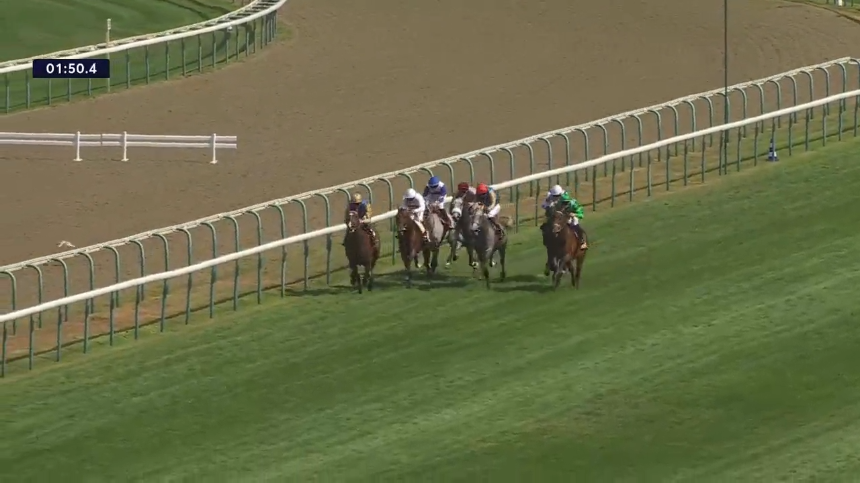 Runners in the Doha Cup at Deauville, 4th August 2026