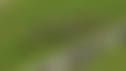 Afandy on his way to winning the Prix Djebel at Deauville