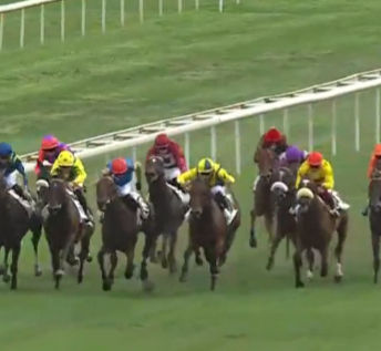 Runners in the closing stages of the Prix Millkom at La Teste