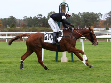 Fontainebleau 2nd December