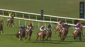 Runners in the Listed Prix de la Porte de Madrid at Saint-Cloud, 19t March