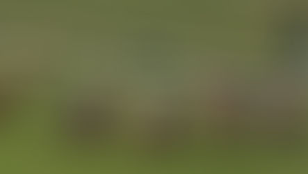 Runners in the Listed Prix de la Porte de Madrid at Saint-Cloud, 19t March