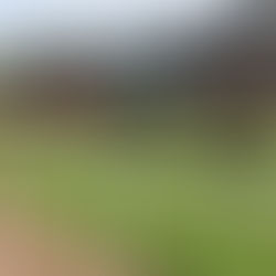 Chateaubriant 23rd June - Hurdles