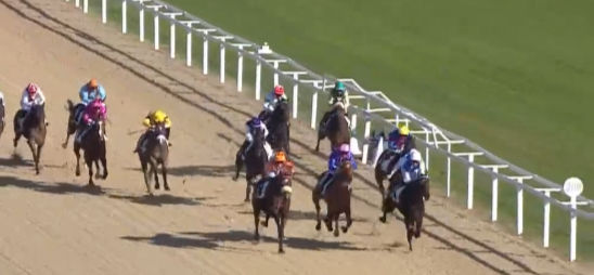 Runners in the closing stages of the Prix Ace Impact at Cagnes-Sur-Mer, January 2026