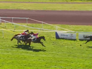 Runners in the Prix Maurice et Henri de Lageneste at Lignieres-en-Berry