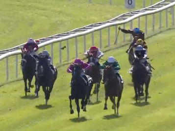 PRIX YVES D'ARMAILLE - PRIX COKORIKO