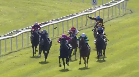 PRIX YVES D'ARMAILLE - PRIX COKORIKO