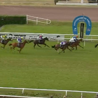 Horses in a race in Southern France
