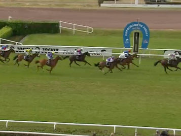 Horses in a race in Southern France