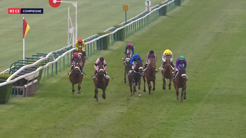 Runners in the Prix des Benjamins at Compiegne