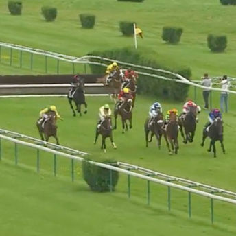 JP McManus - Horses in Training