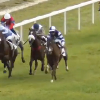 French Profiles - Ironica de Thaix