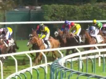 Runners turning for home in the Prix Pride of Kildare at Auteuil