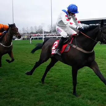 French Profiles - 2nd November