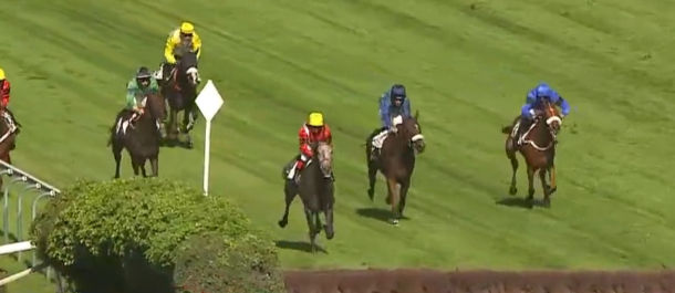 Baghera du Berlais on his way to winning the Prix Piomares - Guy Negrel at Auteuil, 6th Oct