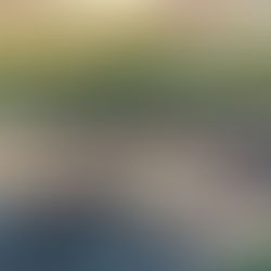 Best Bet - 4th February 2022