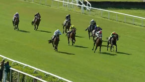 Runners in the final furlong of the Prix du Premier Pas at Lyon Parilly.