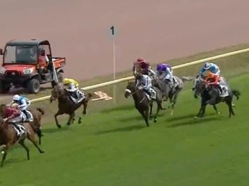 Runners in the Prix Frederic de Lagrange
