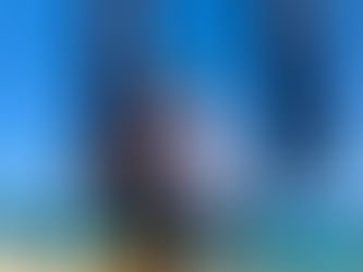 Y30 RRD Dealer Meeting Sardinia