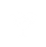 ICONS white.png