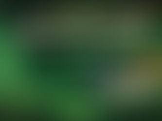 Best Micro Stakes Cash Game Courses 2026