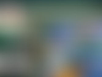 Poker Bankroll Management Guide