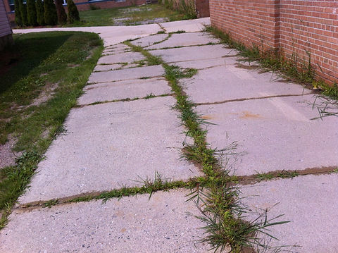 School Walkway 1.JPG