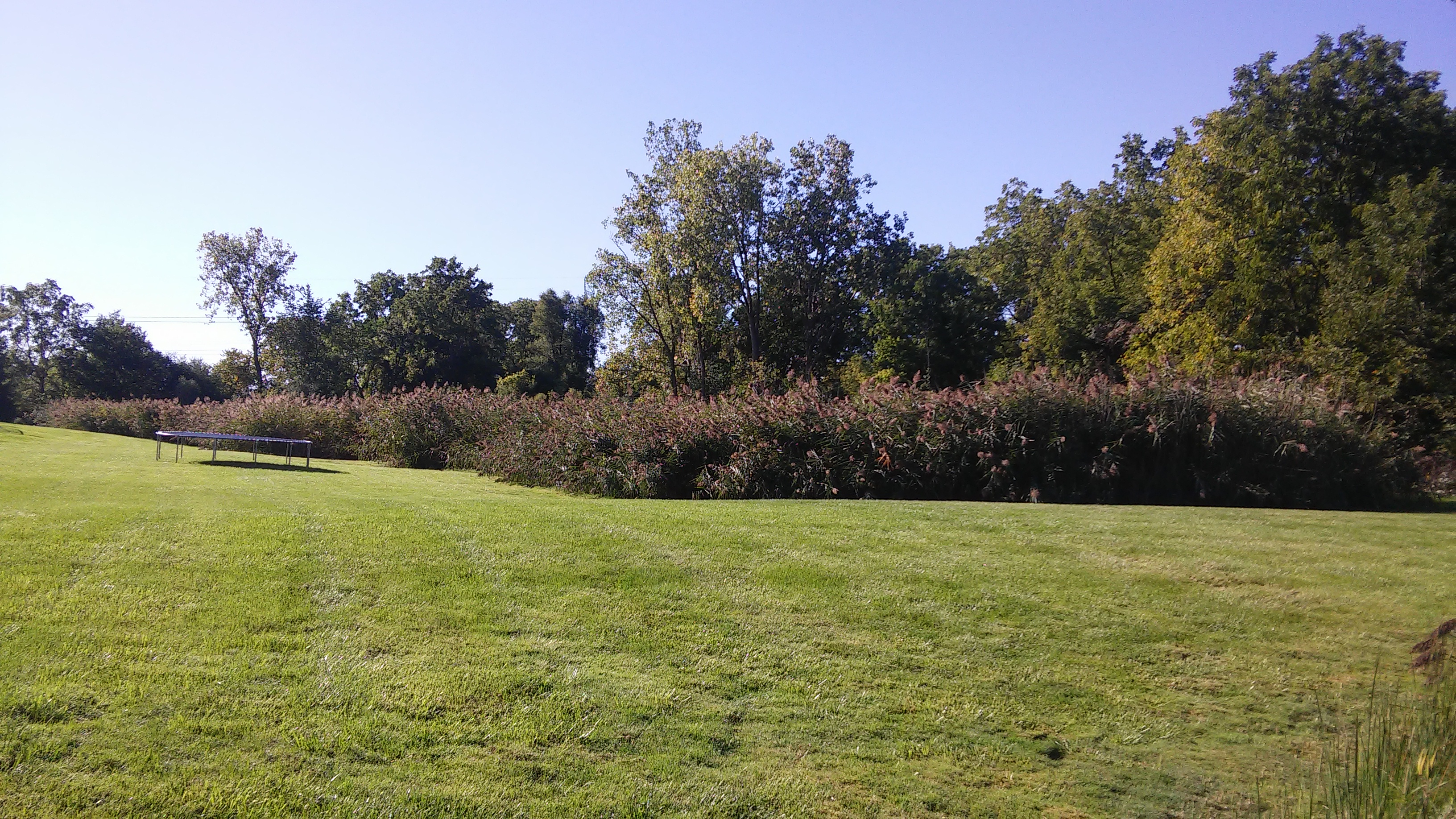 Vegetation Control Specialists Weed Eraser, Inc Michigan