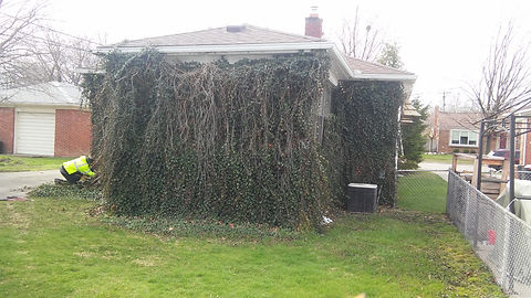 Ivy House 1.jpg