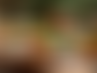 Mc Carthy Kitchens: A Taste of Culture — Upcoming Social Nights