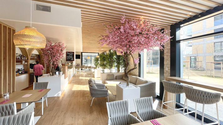 Accueil bar café Leana
Pizzeria café design 
Sol Vynil 
Lampe design IKEA
lames bois faux-plafond
Restaurant déco végétalisée 
Claustra WC chêne