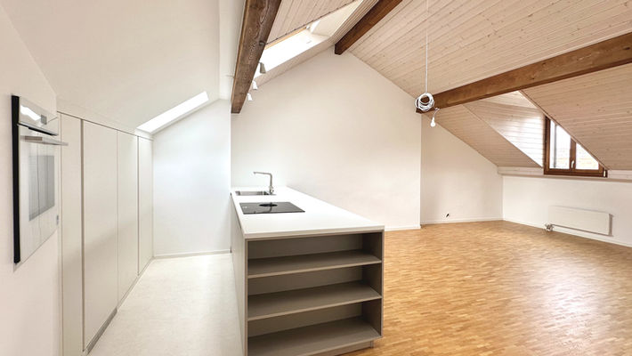 Cuisine ouverte stratifié blanc
Poutraison apparente
Lambris lasuré
Velux toiture mansardée
Rail spot luminaire
Four encastré dans niche
rack-à-vin
Parquet mozaique poncé huilé chêne 
Vinyle clair
Vue cathédrale