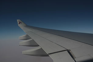 Airplane Wing
