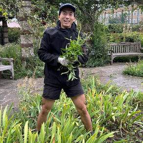 Volunteer Gardening - this Sunday