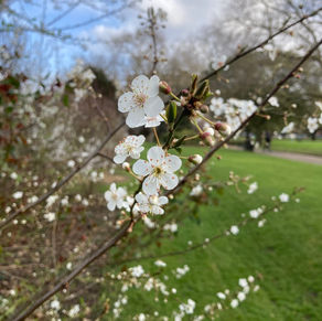 Kennington wins Gold!