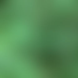 April Volunteer Gardening